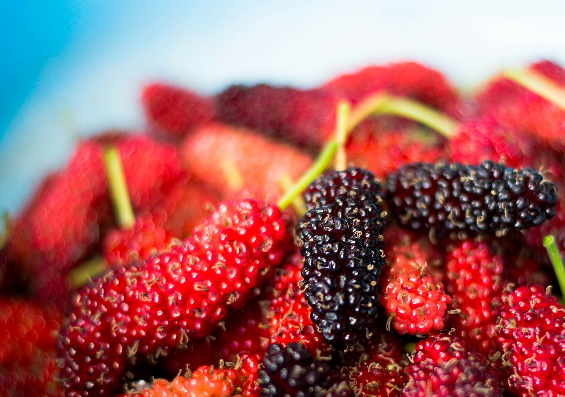 有调查发现，莓汁能有助稳定血压，尤其针对50至70岁的人士。(Pixabay)