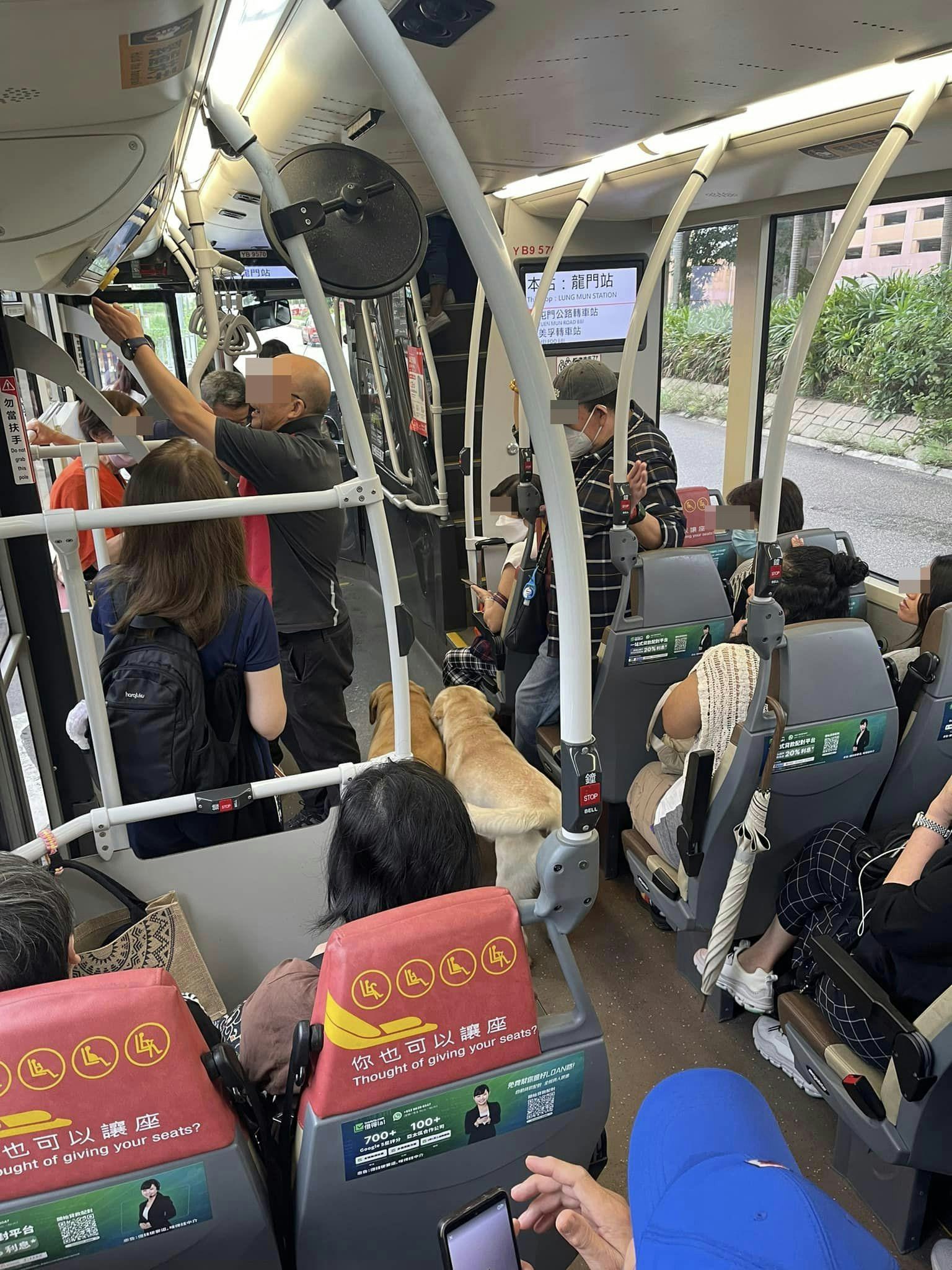 两只狗狗自行登上巴士，未有主人陪同，看似不知所措，车长在旁处理。（Facebook群组「真.屯门友」）