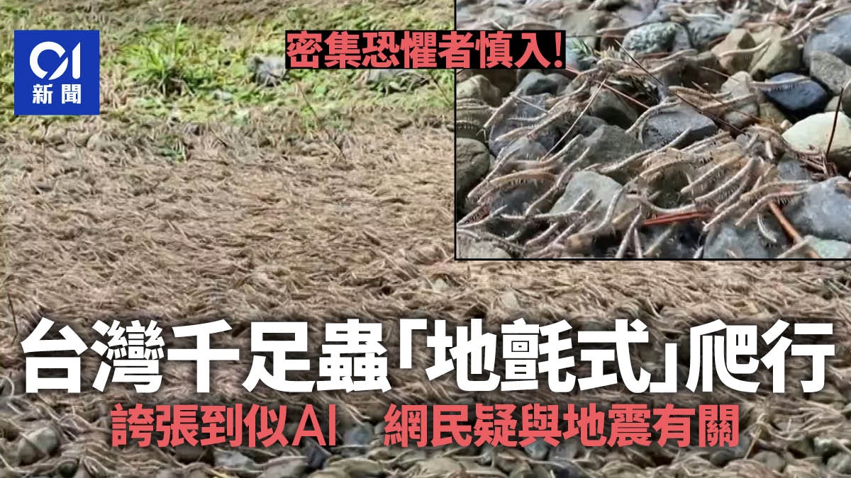 大自然奇景！台灣驚見成千上萬隻千足蟲密集爬行　誇張到似AI