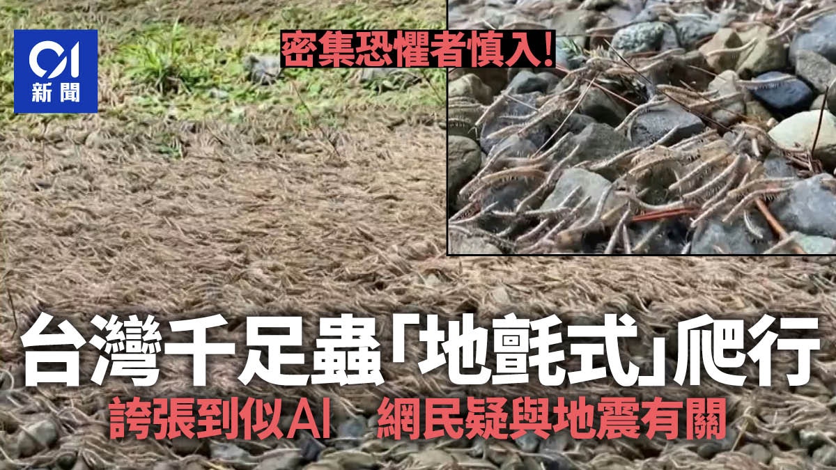 慎入！上万只千足虫"地毯式"密集行进 画面似AI