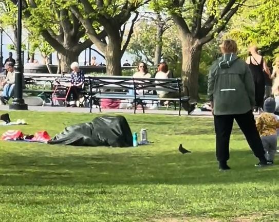抖音（TikTok）瘋傳1段影片，美國紐約炮台公園（Battery Park）草地上有1對男女公然「激戰」疑似性交。（抖音影片截圖）