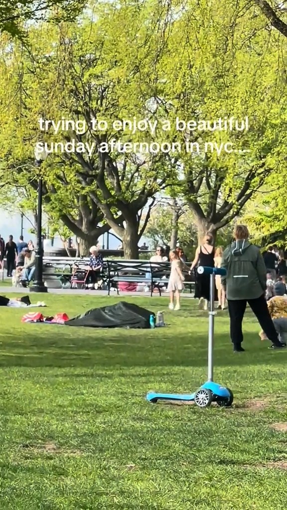 公園草地中央位置1對男女以毛毯遮掩「激戰」，疑似正在性交。（抖音影片截圖）