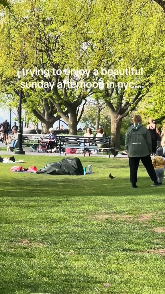 公園草地中央位置1對男女以毛毯遮掩「激戰」，疑似正在性交。（抖音影片截圖）