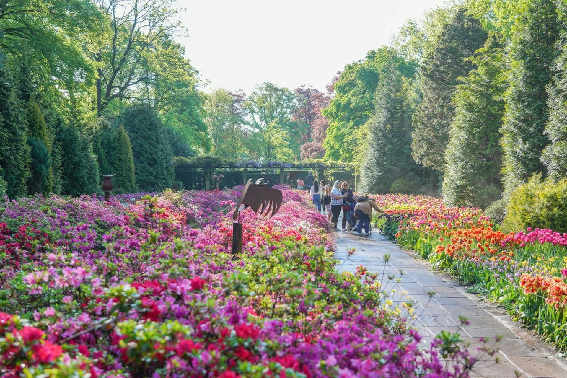 荷蘭花展吸引不少人去當地旅遊(Instagram圖片:visitkeukenhof) 荷蘭花展吸引不少人去當地旅遊(Instagram圖片:visitkeukenhof)