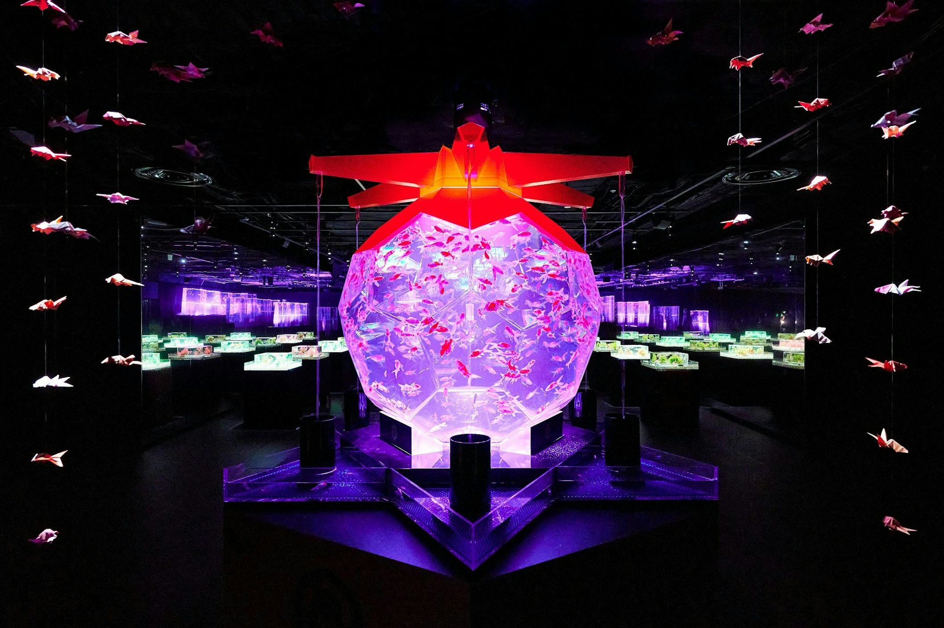 東京銀座藝術水族館(圖片來源:Tokyo Art Aquarium) 日本景點|2025東京新景點16選!新商場HARAKADO/迪士尼新園區/史努比博物館