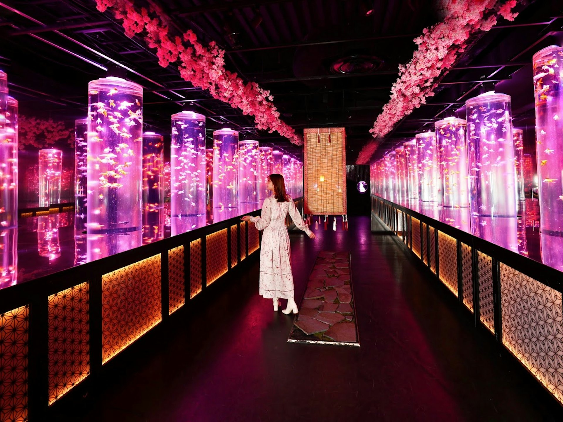 東京銀座藝術水族館(圖片來源:Tokyo Art Aquarium) 日本景點|2025東京新景點16選!新商場HARAKADO/迪士尼新園區/史努比博物館