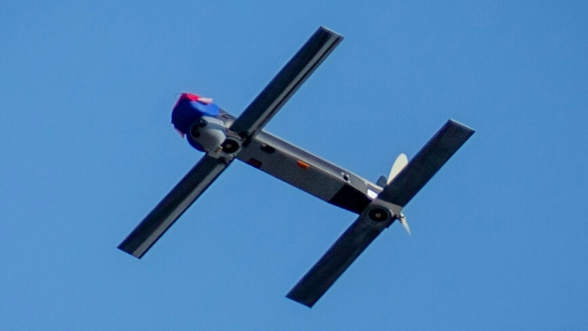 彈簧刀300無人機。(維基) 彈簧刀300無人機。(維基)