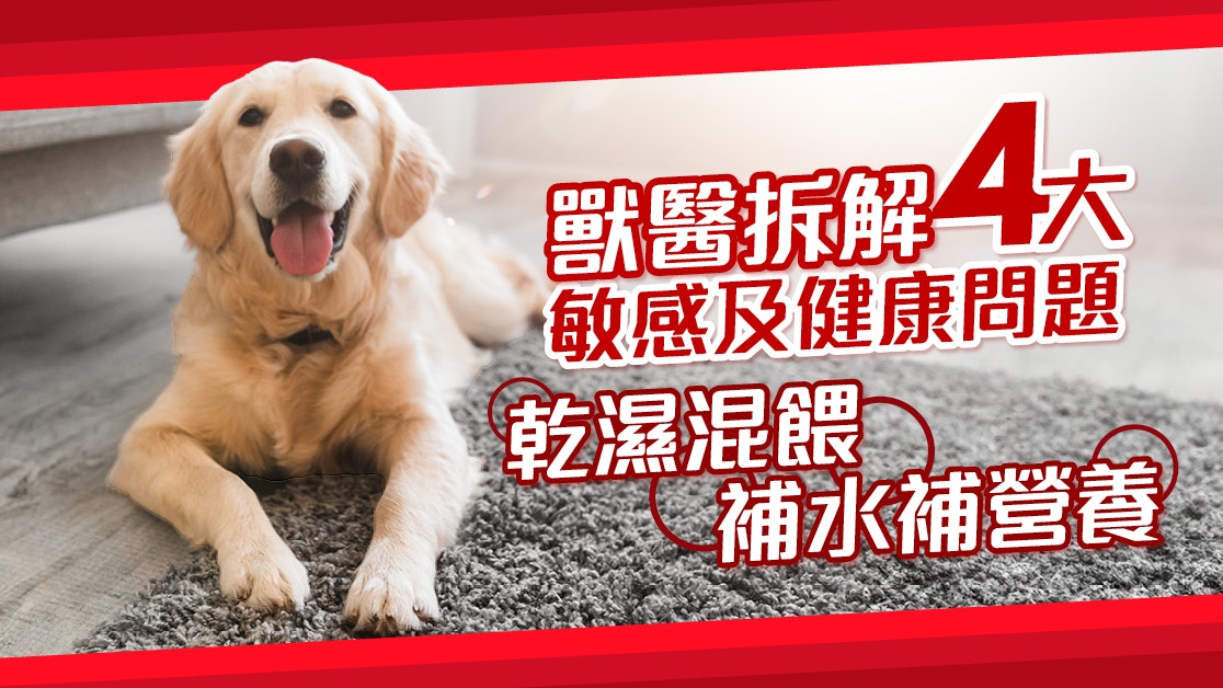 每3隻狗狗就有1隻受敏感問題困擾?教你用飲食預防! 每3隻狗狗就有1隻受敏感問題困擾?教你用飲食預防!
