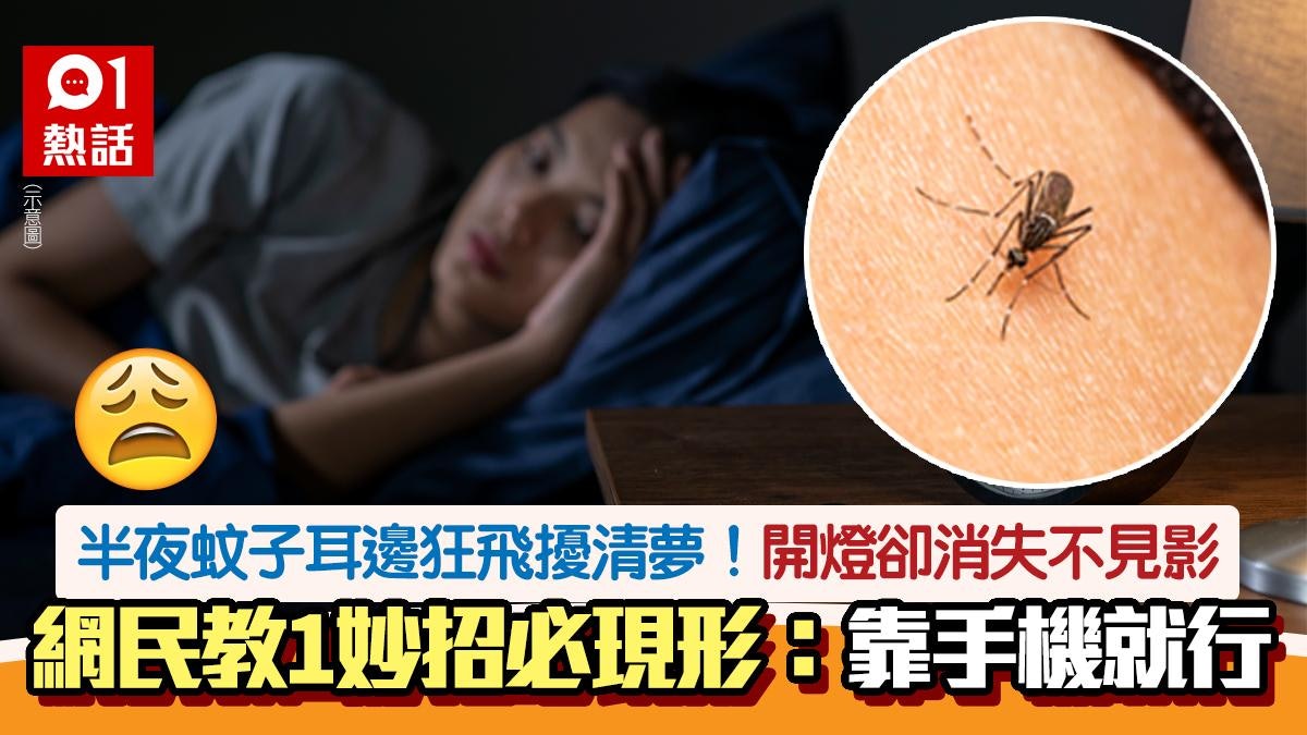 蚊子耳邊飛擾人清夢開燈又消失 網民教一招必現蹤影:靠手機就行 蚊子耳邊飛擾人清夢開燈又消失 網民教一招必現蹤影:靠手機就行