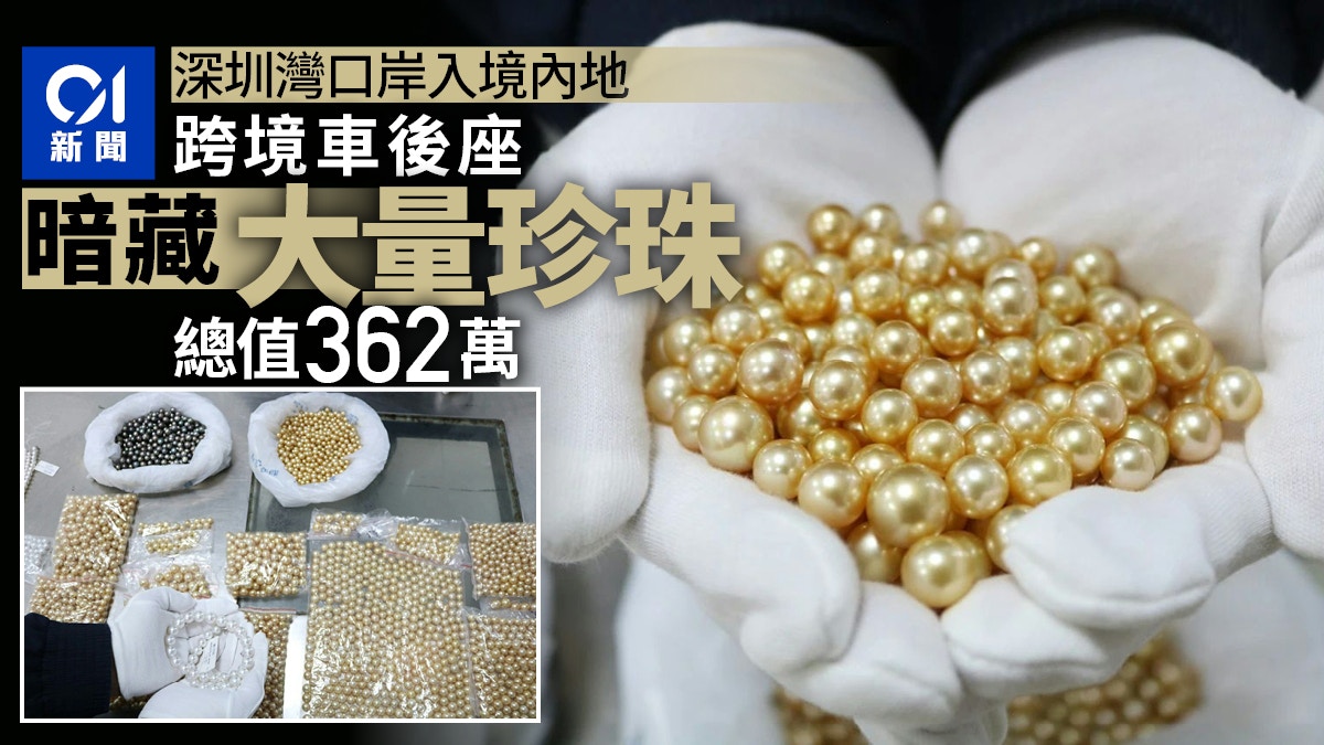 深圳灣海關查驗跨境客車揭後座暗藏珍珠總值約362萬元