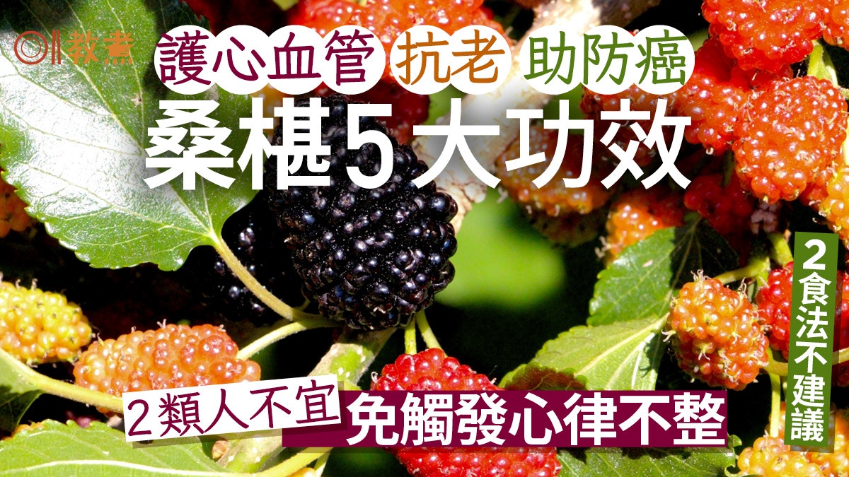 桑椹功效｜護心血管助防癌5功效點食最好？2類人不宜恐心律不整
