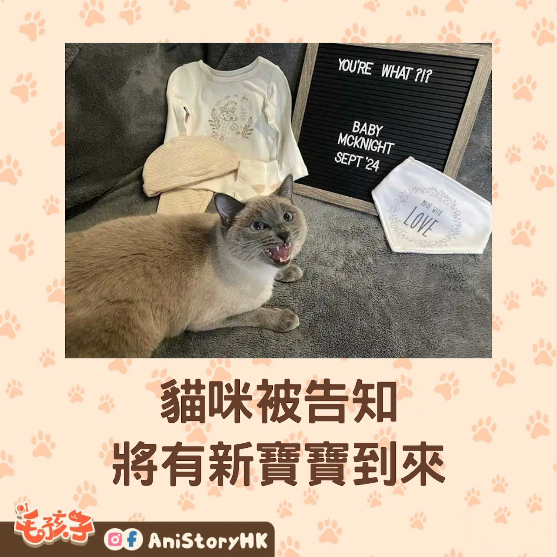家中黏人貓咪要失寵了?(AUTUMN MCINTYRE) 家中黏人貓咪要失寵了?(AUTUMN MCINTYRE)