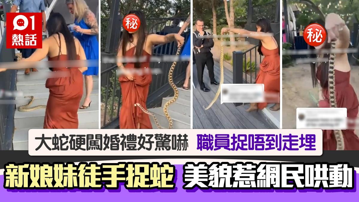 大蛇闖婚禮勁驚嚇 新娘妹捉蛇後續咁做 美貌成焦網民呼:戀愛了 大蛇闖婚禮勁驚嚇 新娘妹捉蛇後續咁做 美貌成焦網民呼:戀愛了