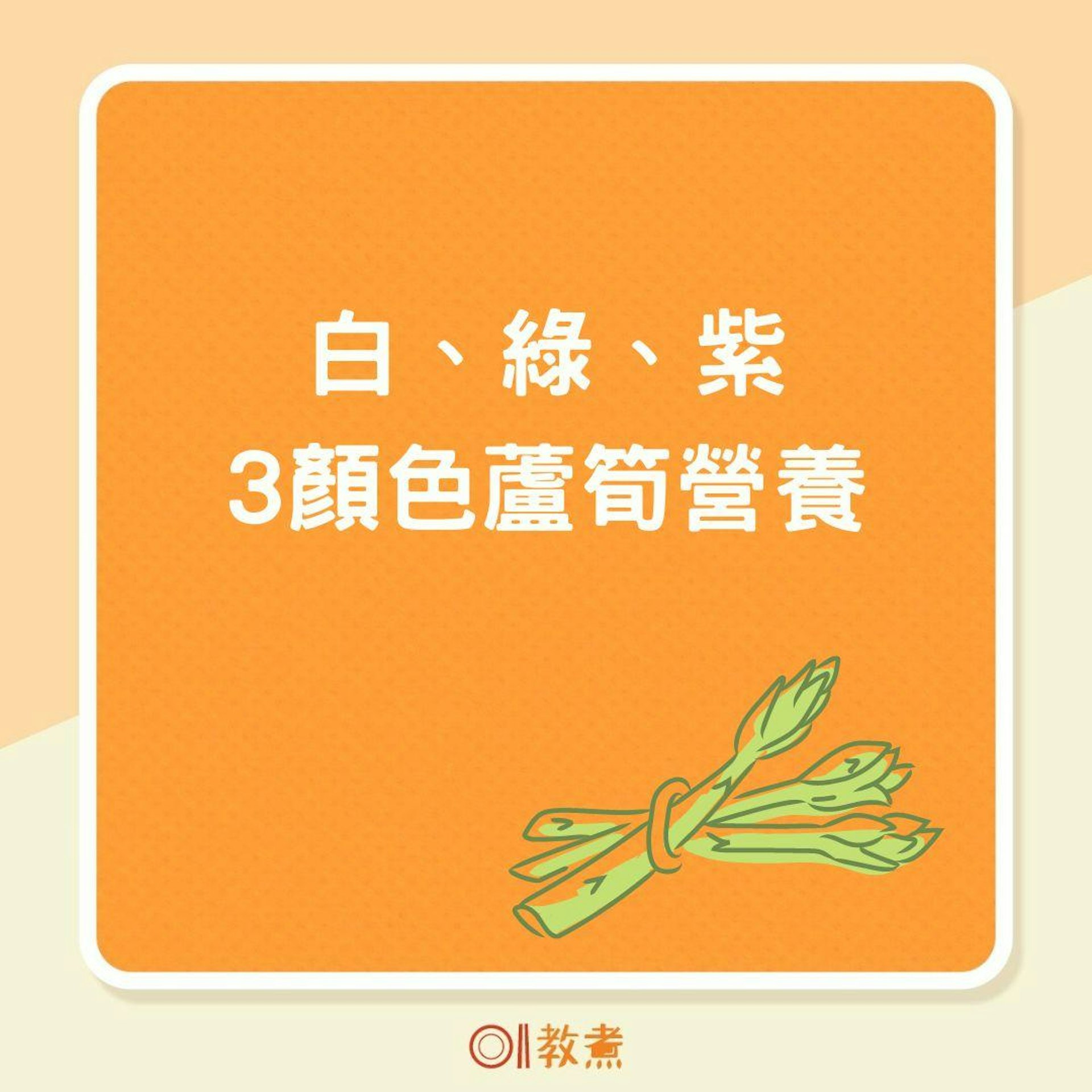 白、綠、紫3顏色蘆筍營養(01製圖) 白、綠、紫3顏色蘆筍營養(01製圖)