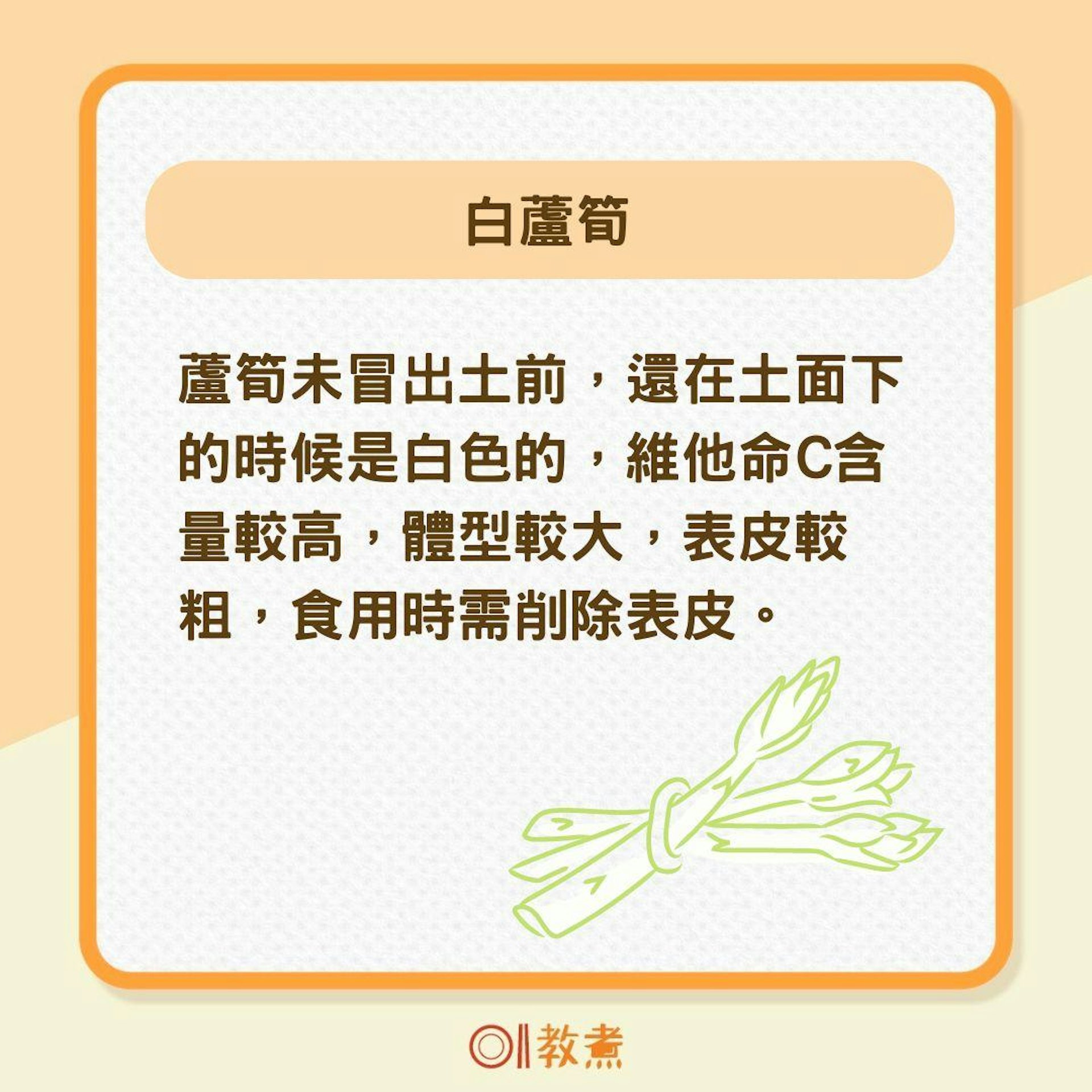 白、綠、紫3顏色蘆筍營養(01製圖) 白、綠、紫3顏色蘆筍營養(01製圖)