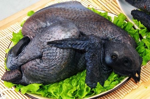 烏雞功效｜益氣血防脫髮11好處推介1湯水 6類人慎食 男士易上火?｜醫師Easy