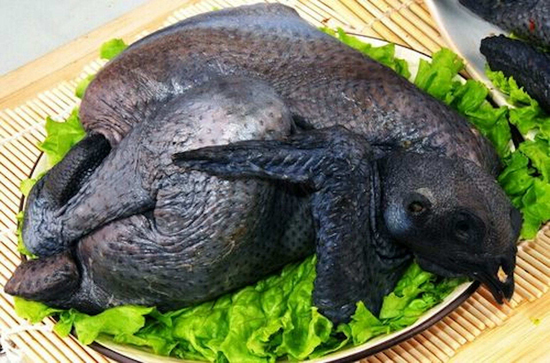 烏雞功效|益氣血防脫髮11好處推介1湯水 6類人慎食 男士易上火?|醫師Easy