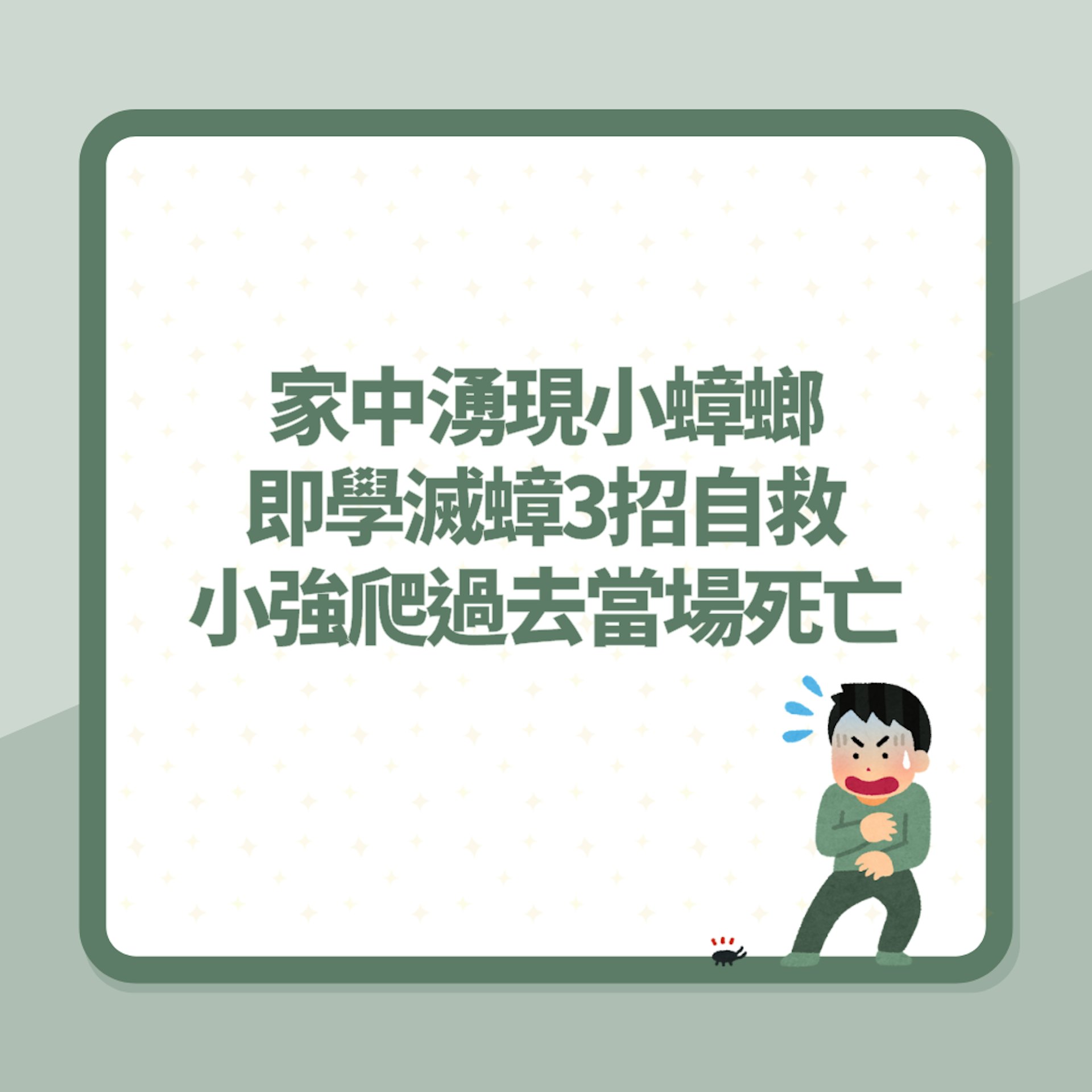 滅曱甴|家中湧現小蟑螂 即學滅蟑6招治標又治本:小強當場死亡(01製圖) 滅曱甴|家中湧現小蟑螂 即學滅蟑6招治標又治本:小強當場死亡(01製圖)