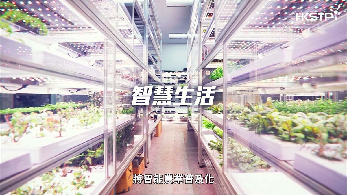 香港智能農業減碳70%　落戶澳洲中東革新傳統農業