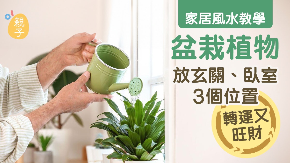 家居風水|盆栽植物別亂擺!放於玄關、臥室「3位置」轉運又旺財 家居風水|盆栽植物別亂擺!放於玄關、臥室「3位置」轉運又旺財