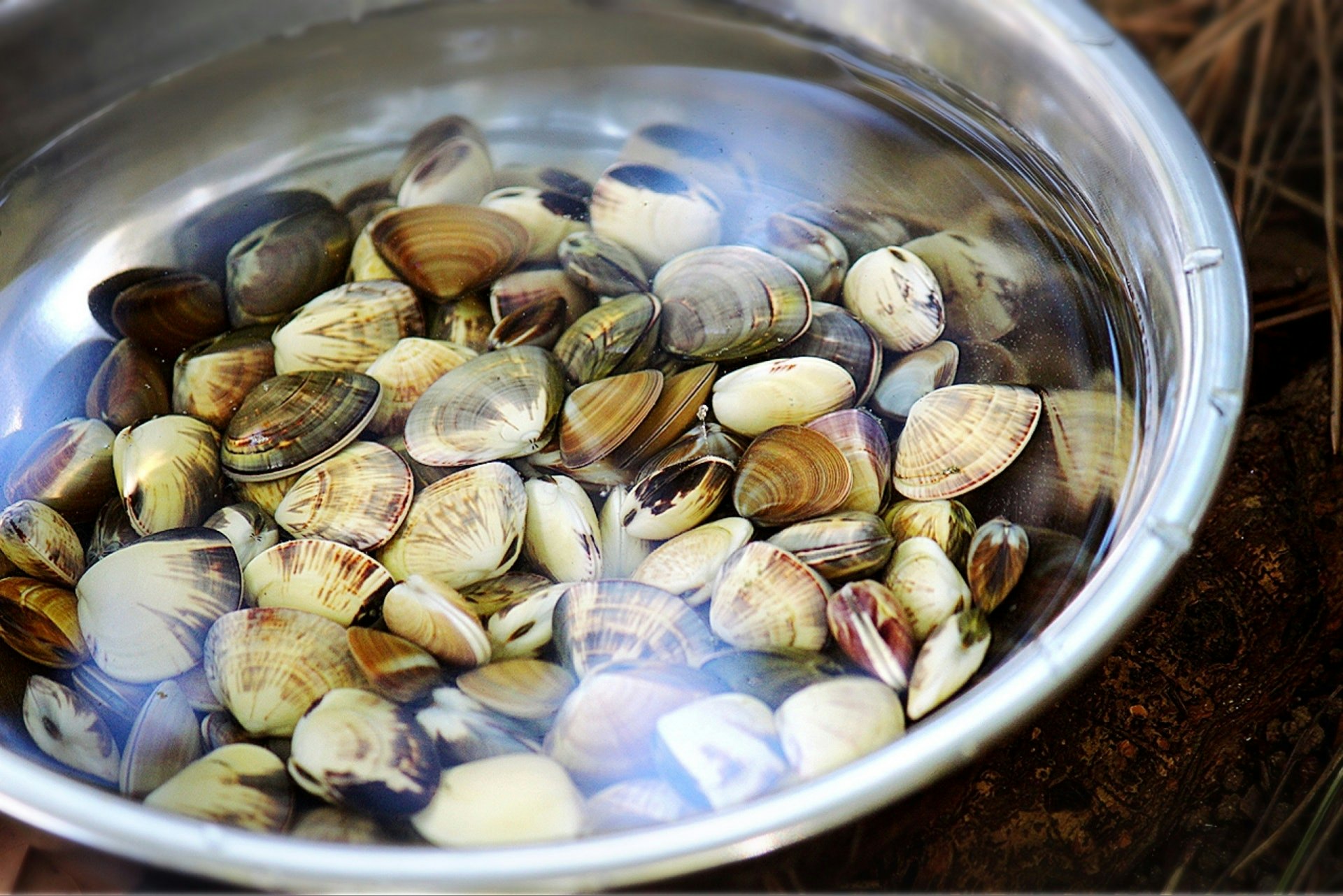 蜆吐沙一定不能馬虎。(photo AC) 蜆吐沙一定不能馬虎。(photo AC)