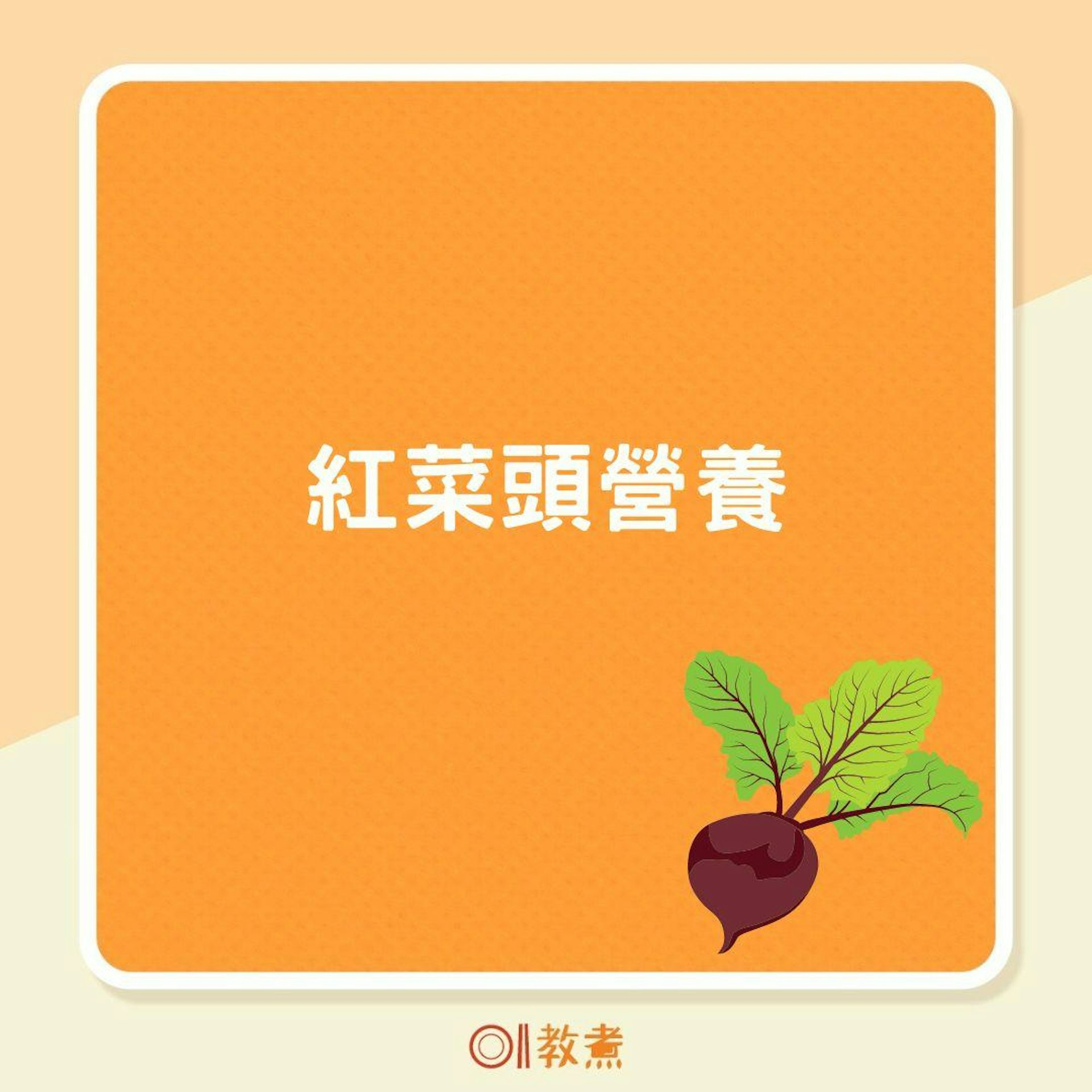 紅菜頭營養(01製圖) 紅菜頭營養(01製圖)