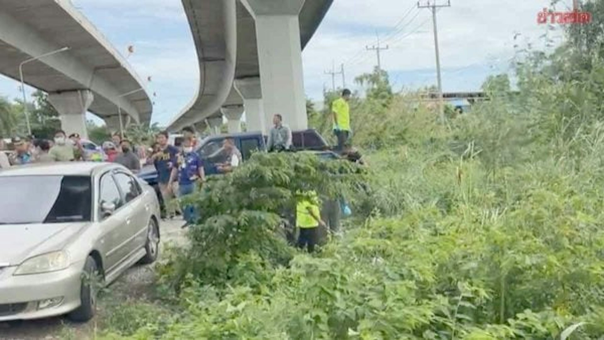 1名18岁女大学生被发现伏尸高速公路下草丛中,遗体不但全身赤裸双脚捆绑,双手更遭凶手砍掉,且绑有重物,死状相当骇人。 (网上图片)
