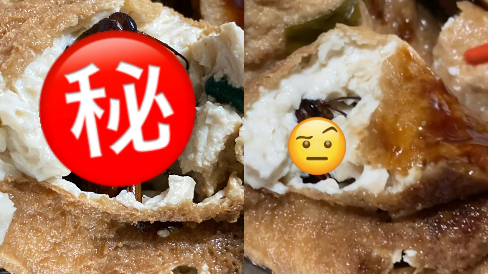 網民台中食油豆腐 一咬驚見巨大完整曱甴 崩潰喊:我先去吐了 網民台中食油豆腐 一咬驚見巨大完整曱甴 崩潰喊:我先去吐了