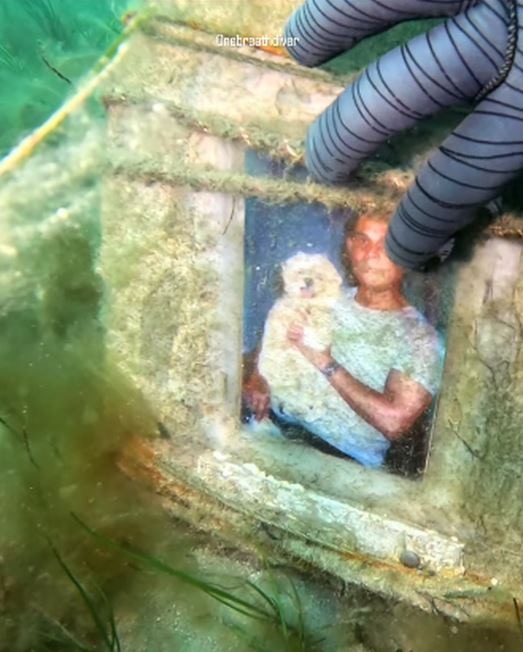女子被八爪鱼「牵手带路」惊见神秘墓碑　墓上照片竟是潜水员的爸（截图）