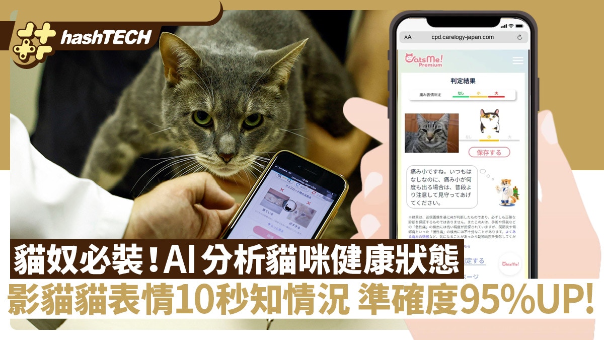 貓奴必裝app！AI分析貓咪健康狀態｜影表情10秒知情況準確度達95%