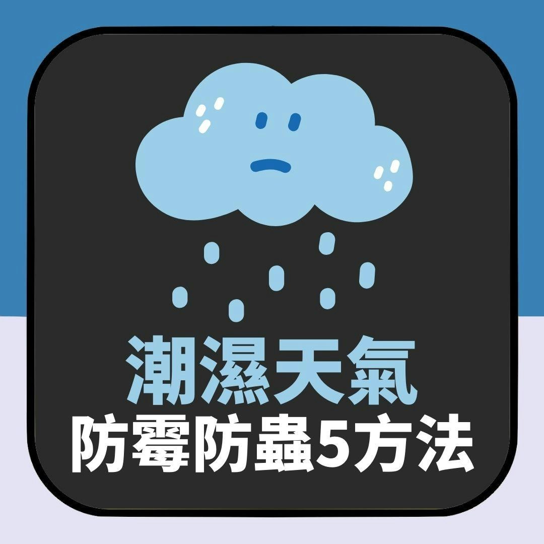 潮濕｜防霉防蟲5方法　降濕度不一定要用抽濕機　只在這時段開窗（01製圖）