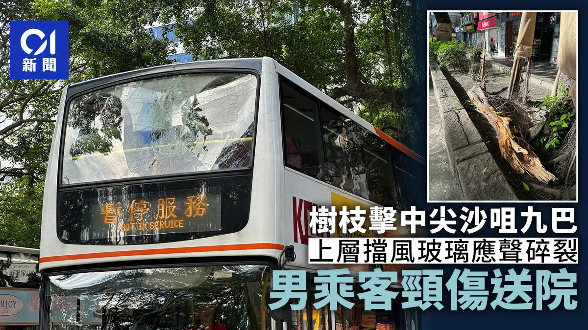尖沙咀彌敦道九巴上層擋風玻璃遭樹枝擊碎 男乘客頸傷清醒送院 尖沙咀彌敦道九巴上層擋風玻璃遭樹枝擊碎 男乘客頸傷清醒送院