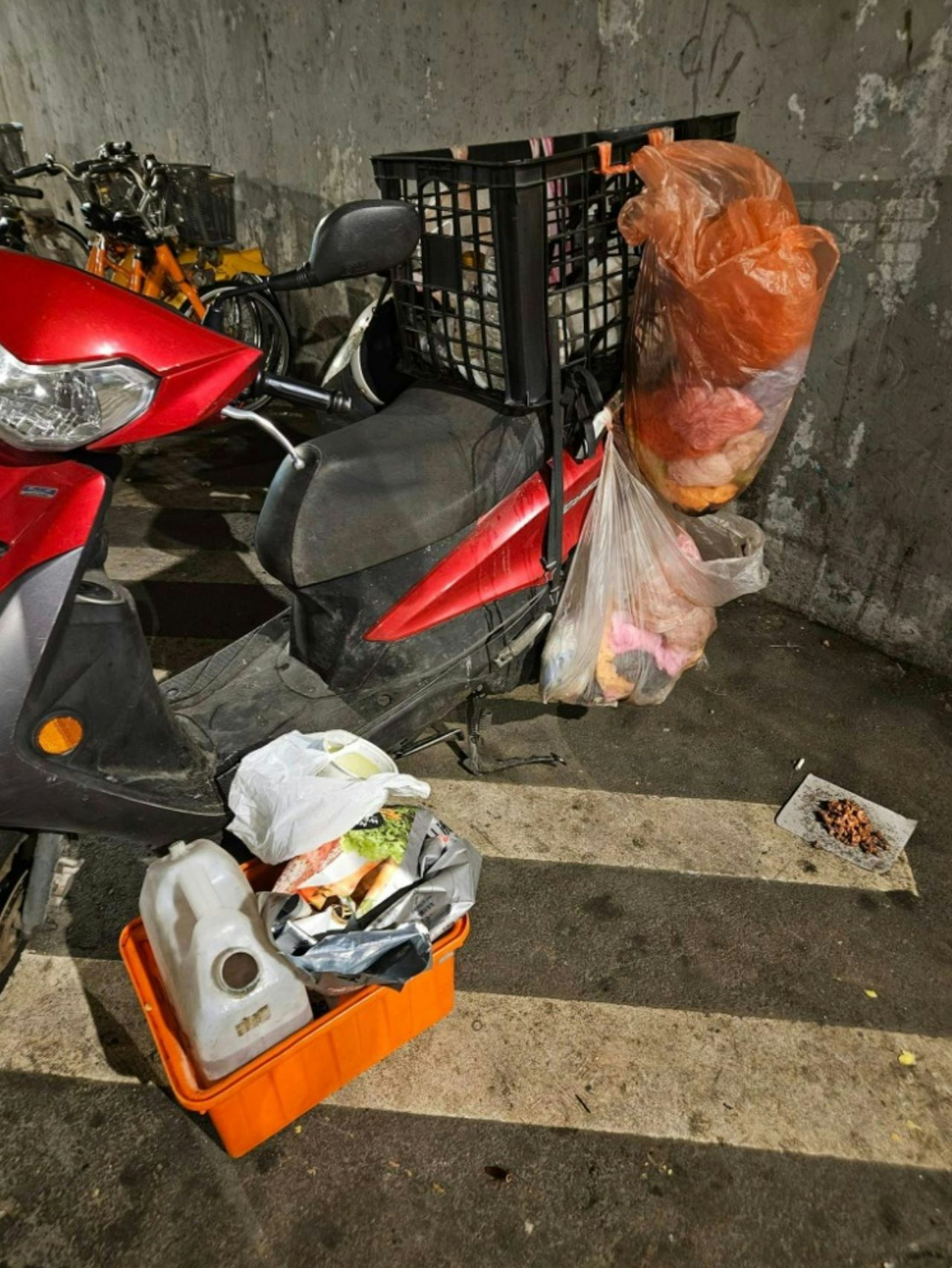 台灣土城一位阿姨騎車到處投餵,造成滿街腐敗味,影響附近居民生活。(爆料公社截圖) 台灣土城一位阿姨騎車到處投餵,造成滿街腐敗味,影響附近居民生活。(爆料公社截圖)