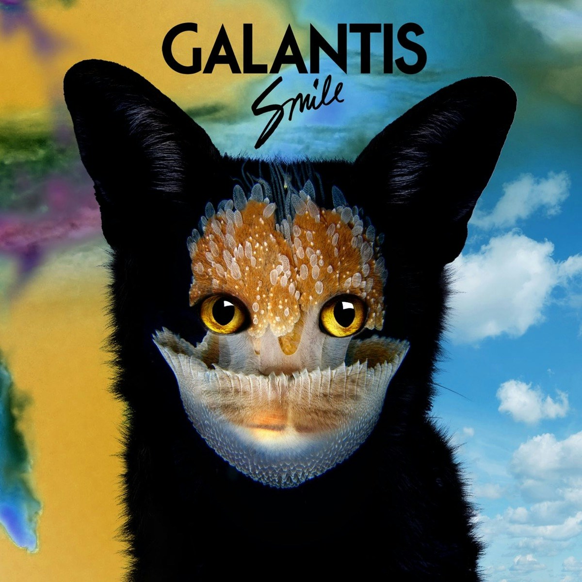 Seafox最初出現於Galantis在2013年的單曲《Smile》，當時Galantis形容Seafox猶如組合的第三位成員。為Galantis創作這個標誌性形象的是英國藝術家Mat Maitland。