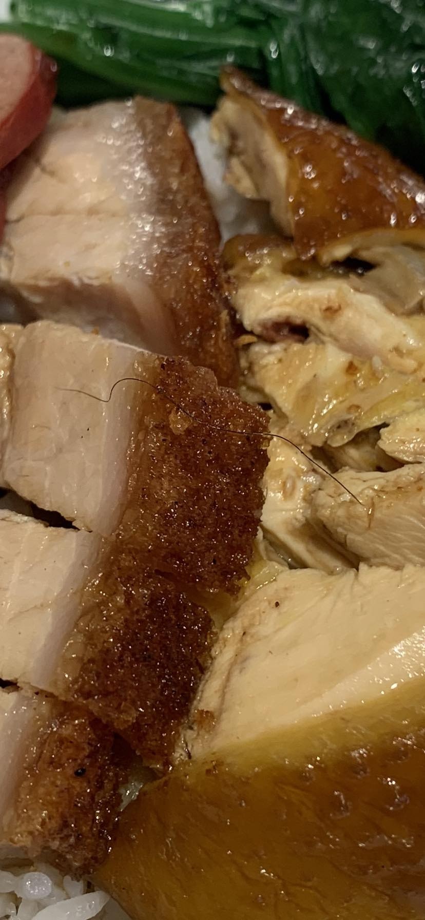 食客上傳照片，顯示燒味飯中的燒肉上，竟然出現1條黑色的「攣毛」，他向店員反映，但對方卻堅稱只是「豬毛」。（facebook圖片）