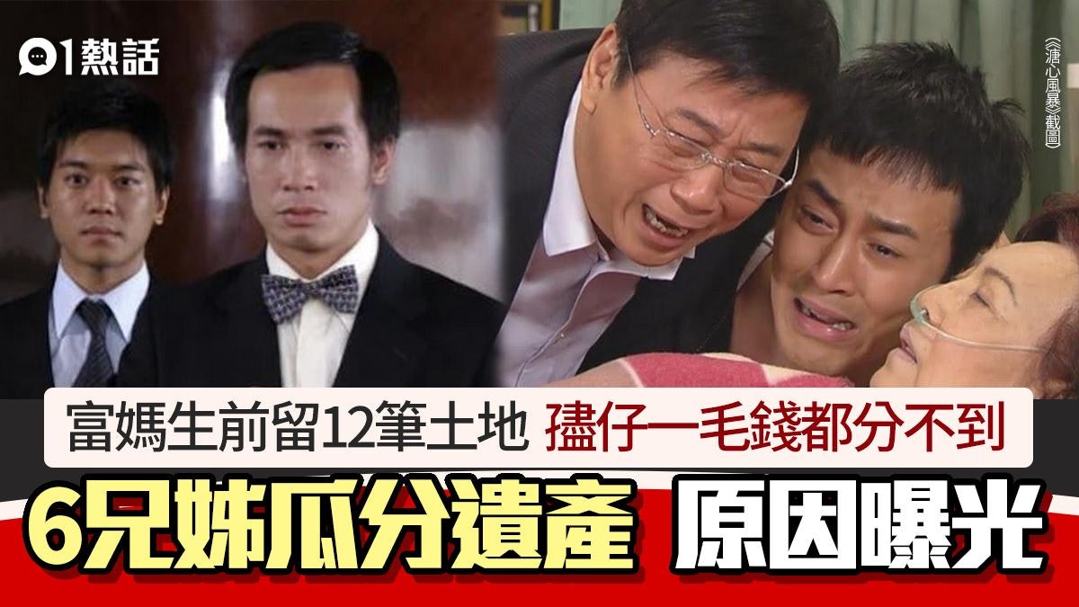 爭產│亡母留12筆地 遺產全歸6兄姊 孻子無得分家產原因曝光 爭產│亡母留12筆地 遺產全歸6兄姊 孻子無得分家產原因曝光