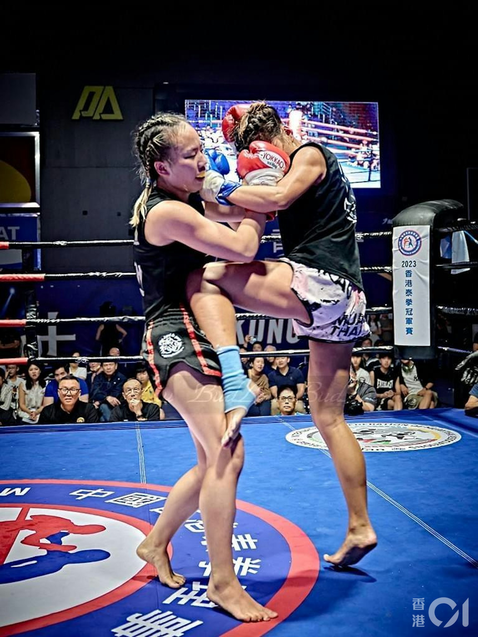 鄭琬愉2023香港泰拳比賽中取得金腰帶。(受訪者提供) 鄭琬愉2023香港泰拳比賽中取得金腰帶。(受訪者提供)