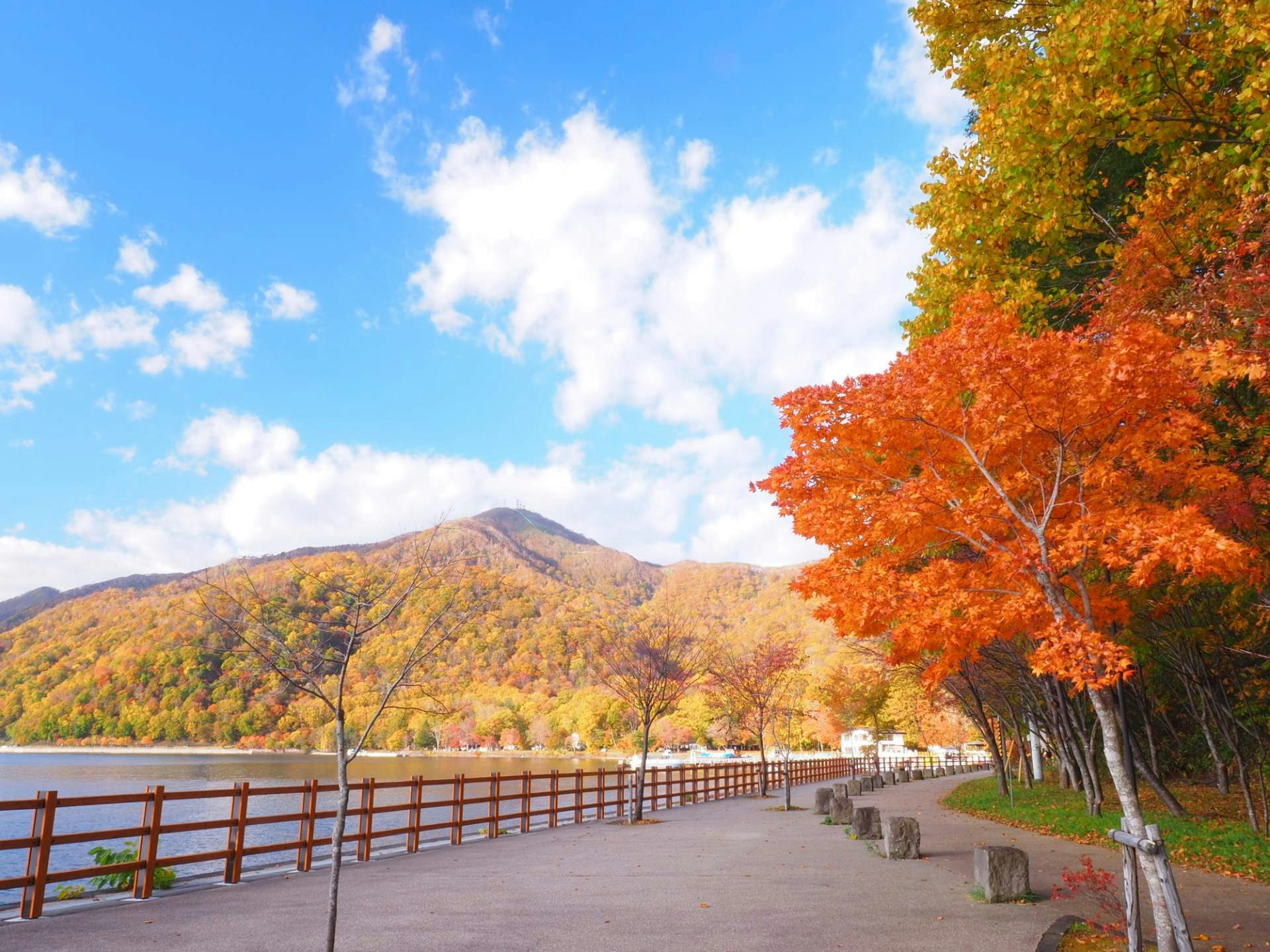 支笏湖（圖片來源：City of Sapporo）