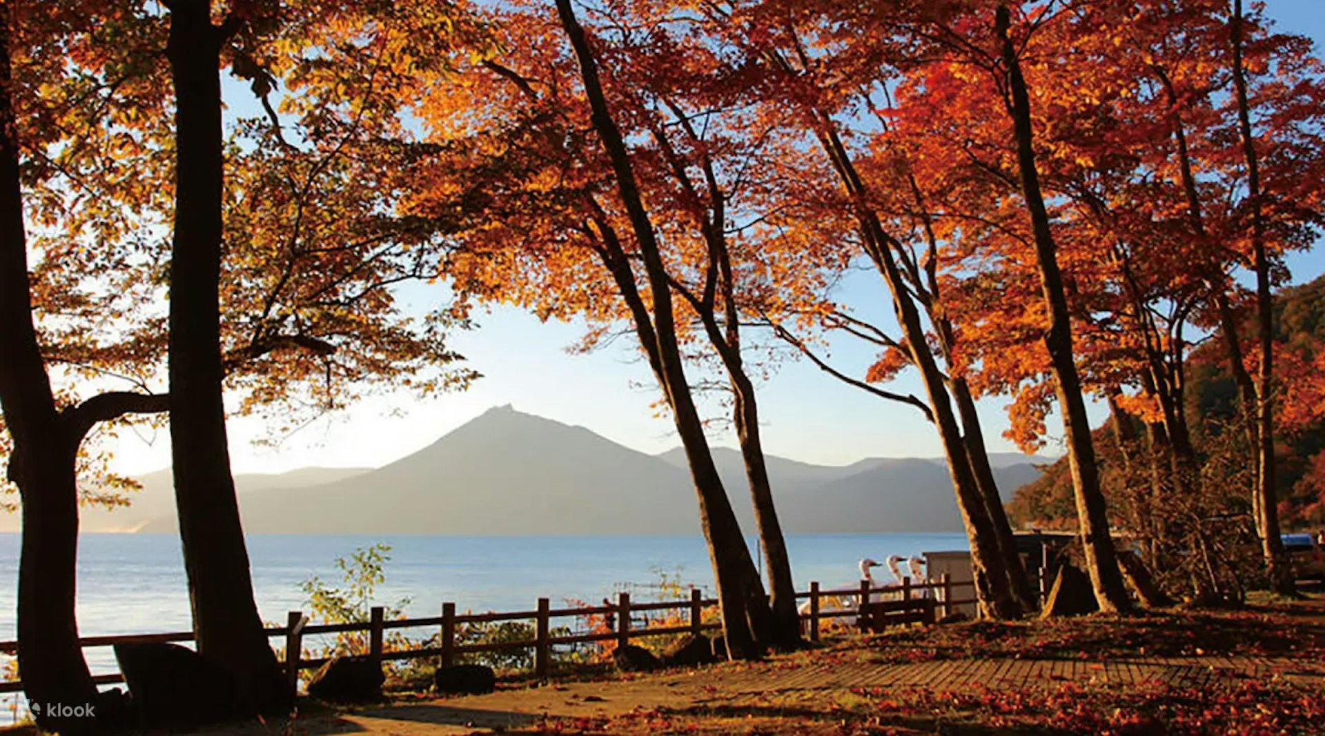 支笏湖(圖片來源:Klook) 支笏湖(圖片來源:Klook)