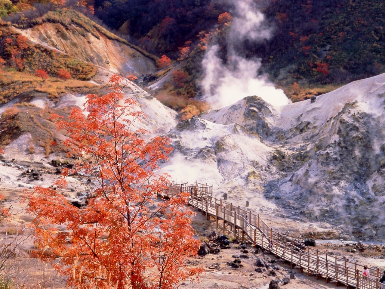 登別地獄谷(圖片來源:北海道官方旅遊網站) 登別地獄谷(圖片來源:北海道官方旅遊網站)