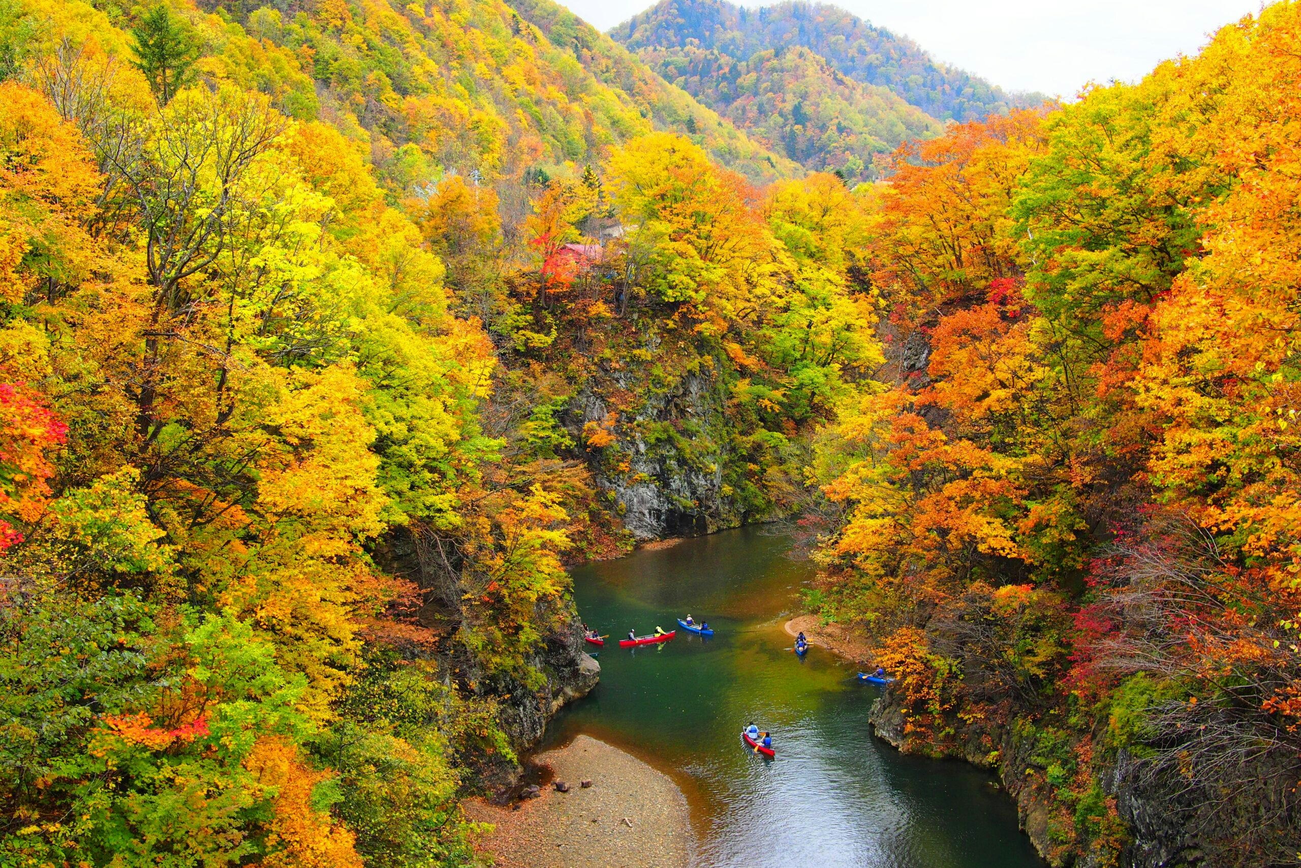 定山溪温泉（圖片來源：北海道官方網站）