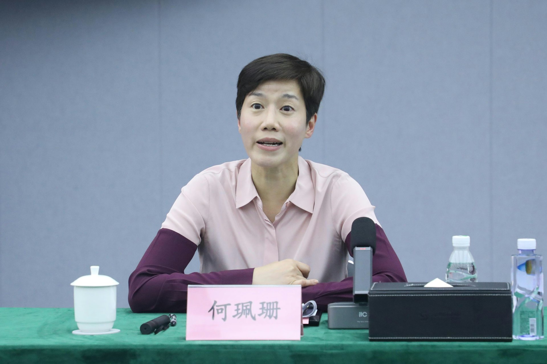 海關關長何珮珊7月10日到訪深圳,與深圳市人民政府口岸辦公室主任劉衛翔會面,圖為何珮珊於會上發言。(政府新聞處圖片) 海關關長何珮珊7月10日到訪深圳,與深圳市人民政府口岸辦公室主任劉衛翔會面,圖為何珮珊於會上發言。(政府新聞處圖片)