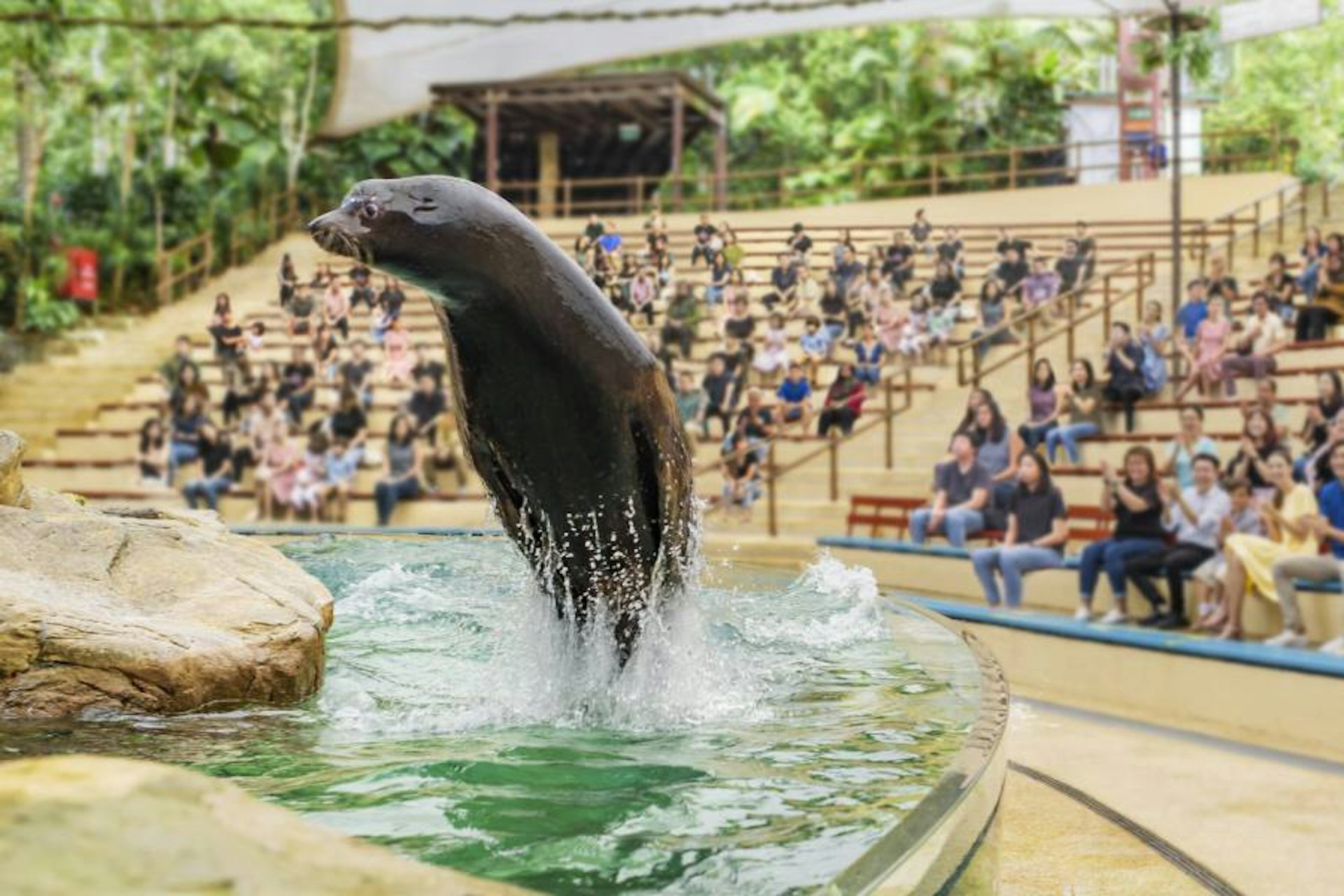 新加坡動物園是一個位於熱帶雨林中的動物園,可以近距離接觸動物。(圖片來源:官網@mandai) 新加坡動物園是一個位於熱帶雨林中的動物園,可以近距離接觸動物。(圖片來源:官網@mandai)