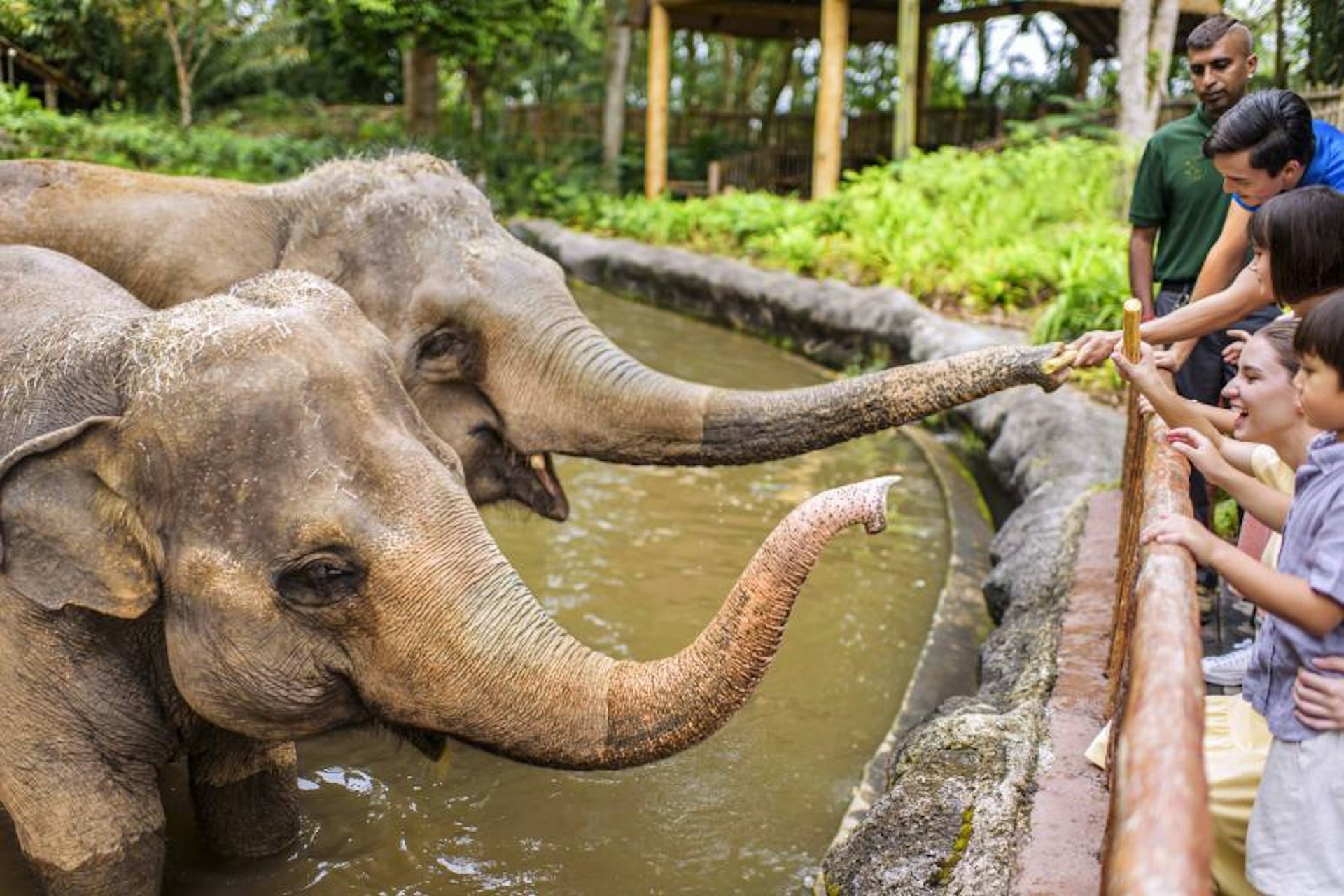 大家還可以在園內跟隨飼養員體驗餵食動物的樂趣。(圖片來源:官網@mandai) 大家還可以在園內跟隨飼養員體驗餵食動物的樂趣。(圖片來源:官網@mandai)