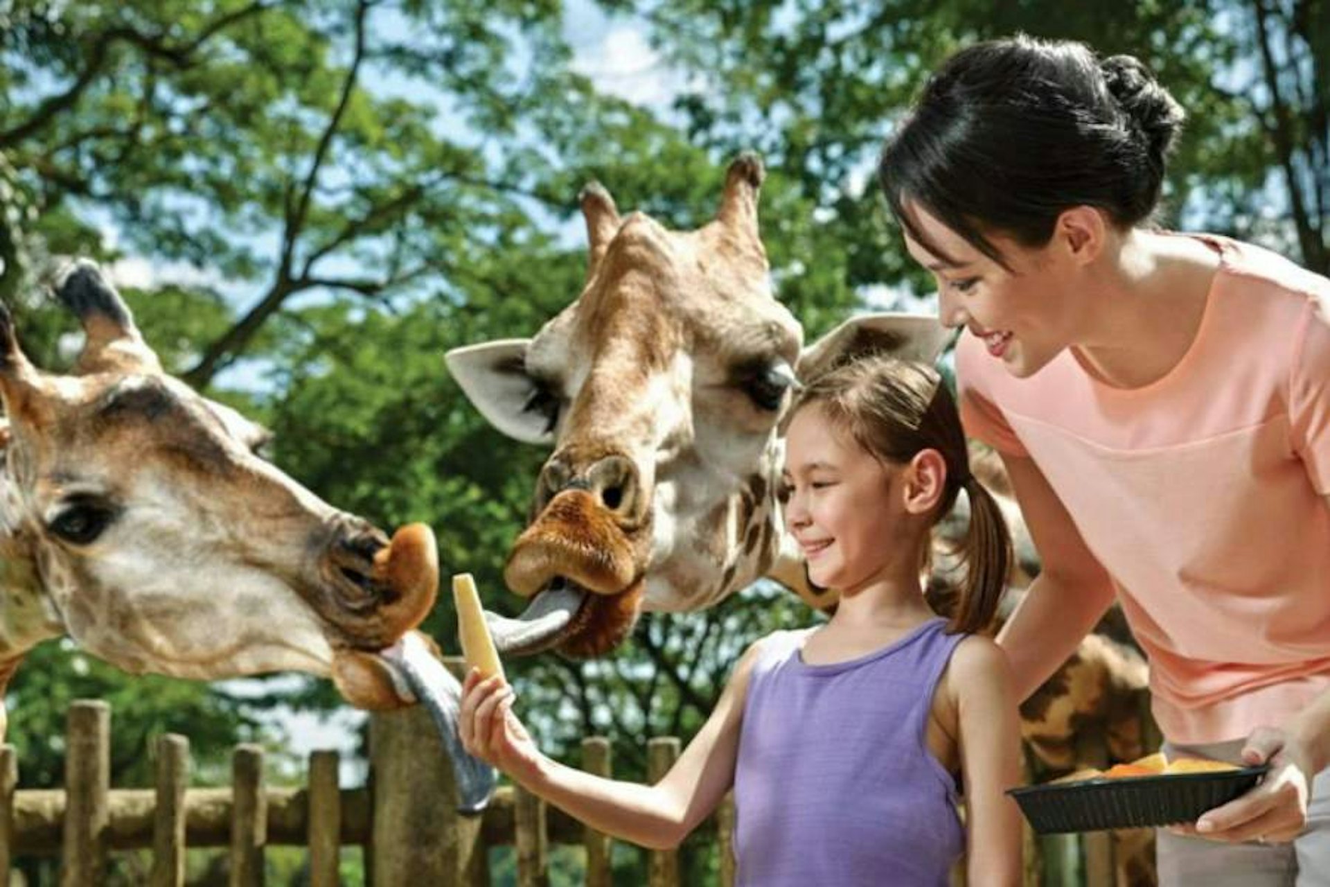 大家還可以在園內跟隨飼養員體驗餵食動物的樂趣。(圖片來源:官網@mandai) 大家還可以在園內跟隨飼養員體驗餵食動物的樂趣。(圖片來源:官網@mandai)
