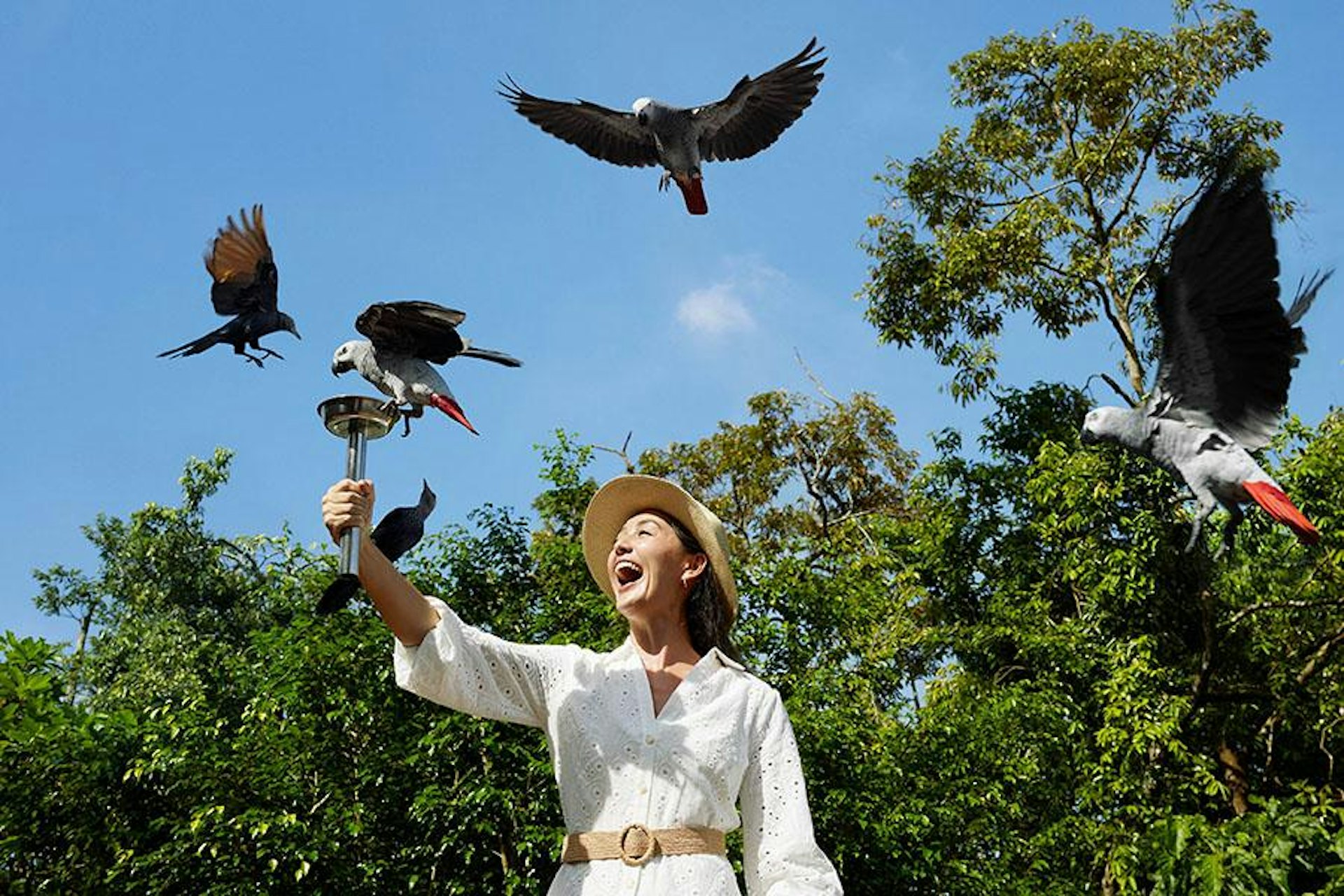 新加坡飛禽公園是在2023年新開幕的動物園,是亞洲最大的飛禽樂園之一。(圖片來源:官網@mandai) 新加坡飛禽公園是在2023年新開幕的動物園,是亞洲最大的飛禽樂園之一。(圖片來源:官網@mandai)