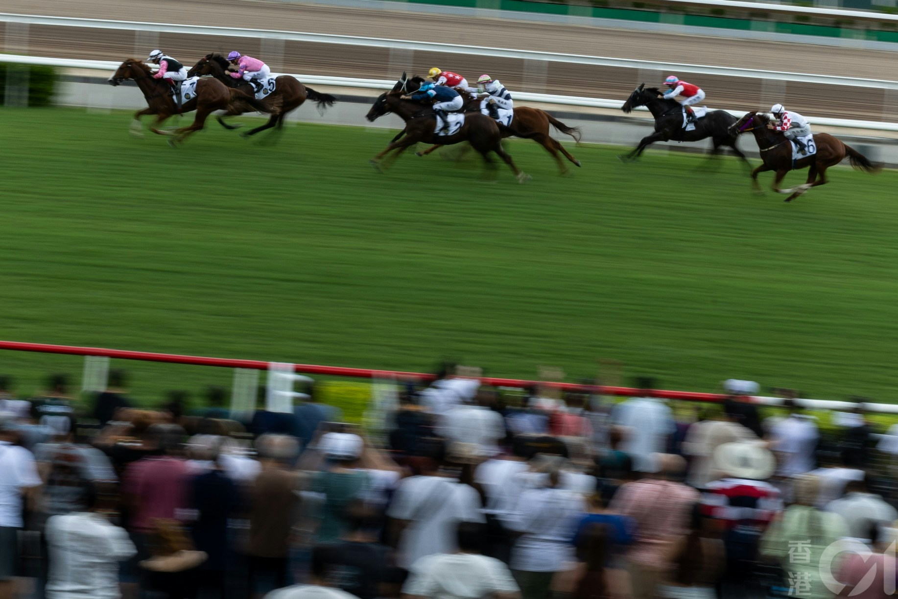 沙田馬場匯合彩池數據庫故障延遲逾個半小時派彩馬會致歉