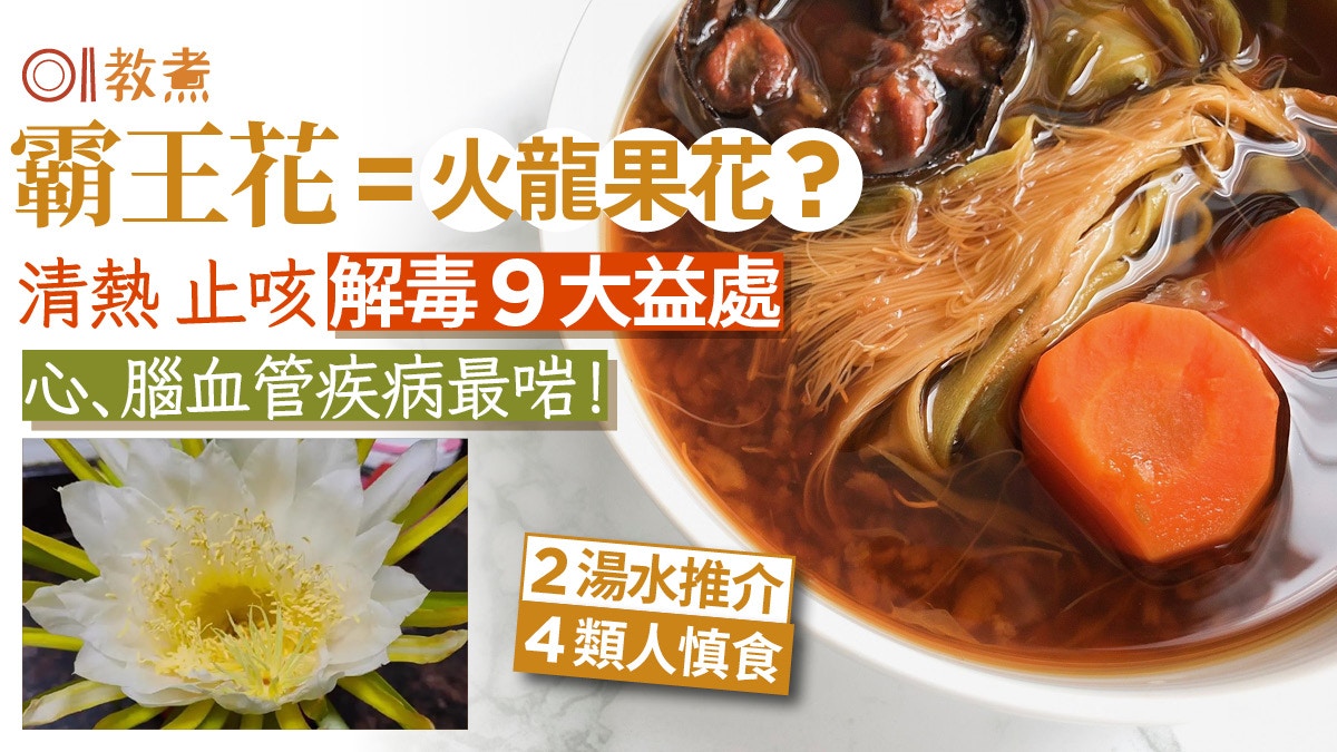 霸王花功效｜清熱止咳9功效=火龍果花？燥底最啱4類人慎食+2湯水