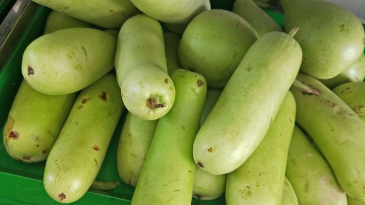 蒲瓜功效|清熱助抗癌12益處鉀=節瓜1/3腎石糖尿最啱!揀蒲瓜3招