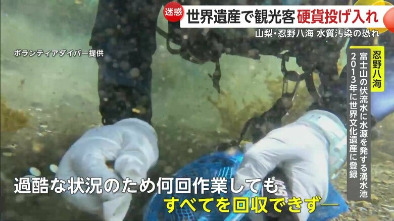FNNプライムオンライン YouTube截圖